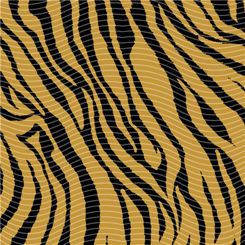 holographic Big- 373